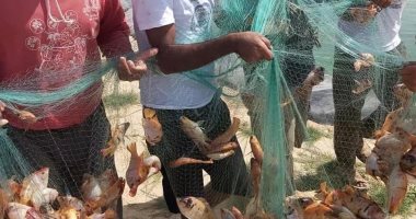 جامعة العريش تبدأ طرح إنتاجها من الأسماك للجمهور غدا