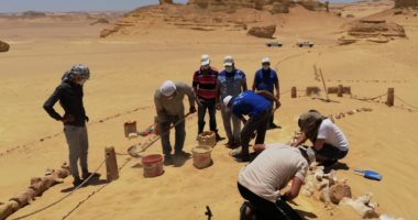البيئة تتابع أعمال ترميم المتحف المفتوح بوادى الحيتان وجبل قطرانى