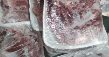 "بيطرى الشرقية": ضبط 3 أطنان دهون و475 كجم أسماك غير صالحة للاستهلاك