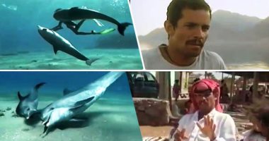 "عبيد الله وأولين" حكاية عشق بين صياد وصديق الإنسان على شاطئ نويبع.. بدأت بلقاء دولفين ضل عن قطيعه فى عرض البحر وفتى على قارب صيد.. عروض الصديقين جذبت السائحين.. وحولت المكان لواجهة سياحية قبل 20 عاما