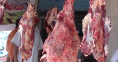 تحرير 57 محضرا وضبط 1500 كجم لحوم غير صالحة بالبحيرة