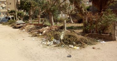 شكوى من تراكم المخلفات في شارع حسين كامل بألماظة في القاهرة