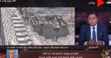 مندوب الجامعة العربية بالأمم المتحدة يكشف سيناريوهات مصر بمجلس الأمن