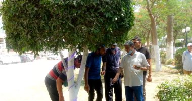  رئيس غرب المنصورة يتفقد الحدائق العامة بشارع الجيش لإقامة مشروع 306