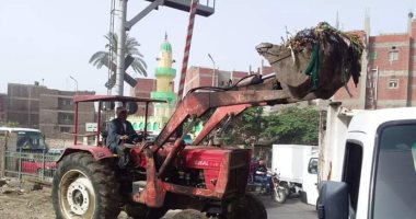 صور.. حملات نظافة ورفع مخلفات من الوحدات محلية بالزقازيق 