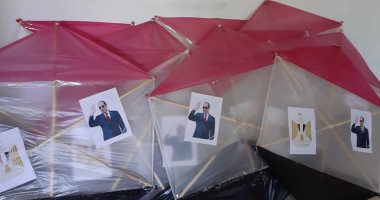 صور.. شباب ورياضة الأقصر تنظم مهرجان "الطائرات الورقية" بالبر الغربى إحتفالاً بـ30 يونيو
