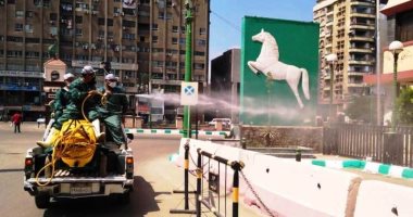 بيطرى الشرقية: نفذنا 36 ألف حملة تطهير منذ بداية كورونا