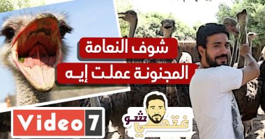 شوف النعامة المجنونة عملت إيه فى فتحى شو