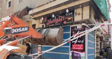 صور.. حملة لإزالة التعديات والإشغالات بكفر الشيخ 