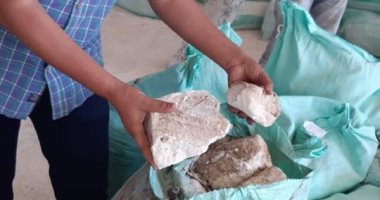 تموين الأقصر: نقل مدير مطحن الاتحاد بعد ضبط دقيق منتهى الصلاحية داخله