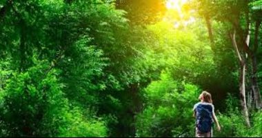 واجه التوتر والإجهاد يوميًا × 7 خطوات سهلة.. التنفس العميق أبرزها