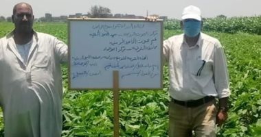 صور ... زراعة الشرقية : لجنة لتفقد الحقول الإرشادية للتوسع فى زراعة المحاصيل الزيتية