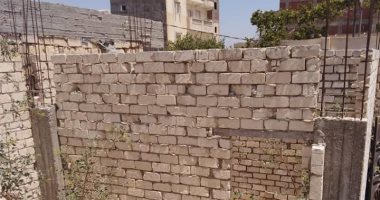 صور .. إزالة التعديات على أراضى الدولة بمساحة 8100 متر ببرج العرب بالإسكندرية