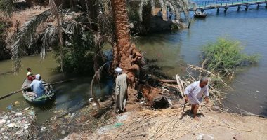 صور.. حملة لهندسة صرف الأقصر لإزالة 2 نخلة وشجرة من مصب الحبيل على النيل