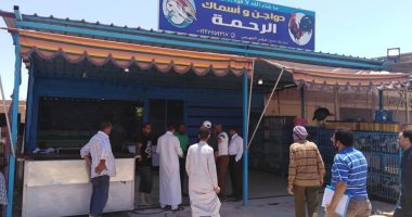 صور.. ضبط 13 مخالفة "سقايف" وإحالتها للنيابة العسكرية ببرج العرب غرب الإسكندرية
