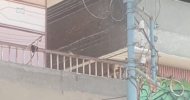 سيبها علينا.. قارئ يشكو من عمود كهرباء ملتصق بشرفة منزله فى تمى الأمديد