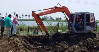 حى جنوب بورسعيد يزيل 50 فدان مزارع سمكية على الأراضى الزراعية (صور)