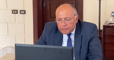 وزراء خارجية مصر والأردن وألمانيا وفرنسا يؤكدون رفضهم لضم إسرائيل أراضى الضفة