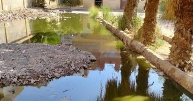 شكوى من غرق شارع العبادى فى عين شمس الغربية بمياه الصرف الصحى
