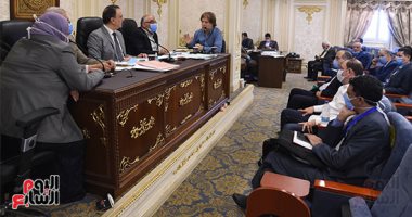 "شكاوى النواب" توافق على طلبات بتغطية أعمدة كهربائية وإنارة طرق وإقامة كوبري