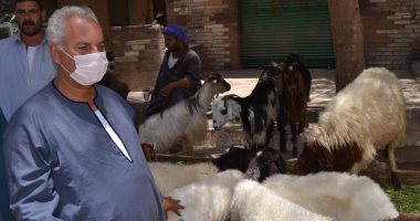 نقيب الفلاحين: تسهيلات استخراج التراخيص تساهم فى التوسع محليا بإنتاج اللحوم