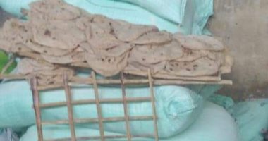 تحرير محاضر صحية وتوصية بغلق 3 مخابز ومطعم خلال حملة لمفتشى الأغذية بالشرقية