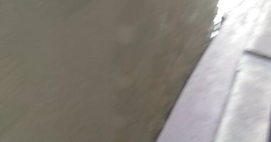 استمرار غرق شارع شعبان موسى بمياه الصرف الصحى بعزبة النخل الشرقية