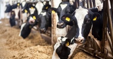 تطوير برق اصطناعى يفتت 99٪ من غاز الميثان قبل وصوله الغلاف الجوى