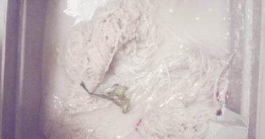 ضبط أغذية غير صالحة للاستهلاك الآدمى بالإسكندرية