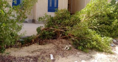 إزالة الأشجار الخضراء.. شكوى أهالى إسكان شباب المستقبل بالشروق