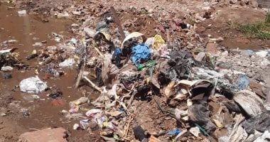 قارئ يشكو غرق شارع بلال بن إبراهيم بمياه الصرف الصحى وعدم إضاءة أعمدة الإنارة فى محافظة الغربية