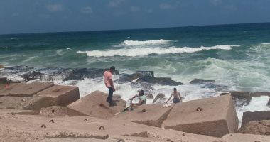 فيديو لايف..أول يوم بكورنيش الإسكندرية بعد حظر الطائرات الورقية والكلاب