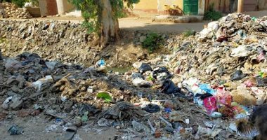 شكوى من تراكم القمامة بقرية ميت السودان فى الدقهلية