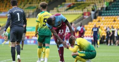 نورويتش سيتي أول الهابطين رسميا من الدوري الإنجليزي
