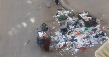 قارئة تشكو تواجد صناديق القمامة فى شارع الخلفاء الراشدين بالمنصورة