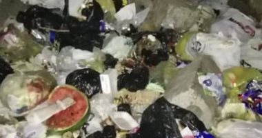 سيبها علينا.. شكوى من انتشار القمامة بعزبة الشال فى المنصورة