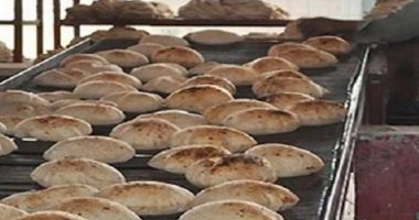 تحرير محاضر فى حملة تموينية بمركز الحامول بكفر الشيخ