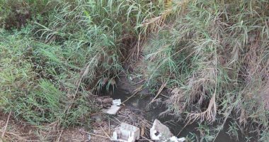 أهالى قرية أبو رقبة بالمنوفية يطالبون بتطهير الترعة