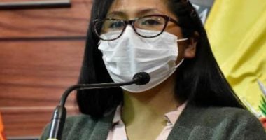 رئيسة مجلس الشيوخ فى بوليفيا تصاب بكورونا بعد إصابة الرئيس ووزيرة الصحة
