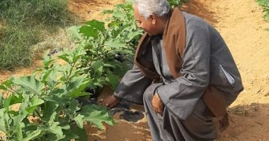 نقيب الفلاحين مبادرة البنك الزراعي لتسوية ديون المتعثرين فرصة ذهبية تحدث لأول مرة
