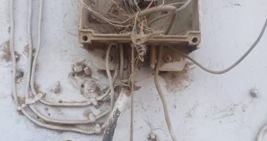 قارئ يناشد لتركيب بوكس تليفونات فى مدينة جرجا بسوهاج.. والمحافظة ترد