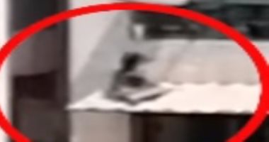 "دراجة" السبب..والد "طفل المظلة" يكشف كواليس الواقعة 