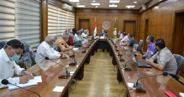 محافظ الدقهلية يكلف بمتابعة تنفيذ المحور المرورى الشرقى الجديد لطلخا 