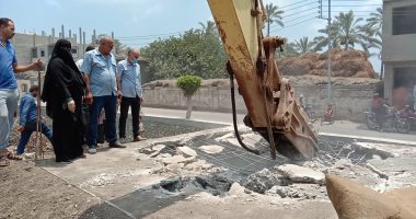 صور.. إزالة 148 حالة الأراضى الزراعية وأملاك الدولة بمراكز ومدن الدقهلية 