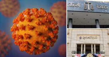الرول عبر الشاشات.. اقتراح جديد أمام رؤساء المحاكم لإنهاء التجمعات والتكدس داخل القاعات.. الغرض هو الحفاظ على صحة المحامين والموظفين من انتقال عدوى فيروس كورونا.. ومحاكم أسيوط تبحث عملية بدء تنفيذ المقترح