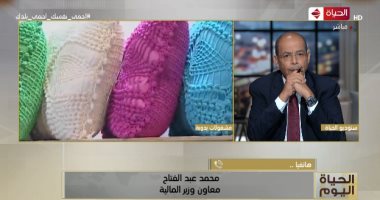 معاون وزير المالية يوضح الهدف من مبادرة تحفيز الاستهلاك