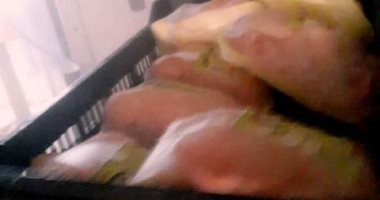 بيطرى الشرقية يضبط 4 طن دواجن مخالفة بمجزر بديرب نجم
