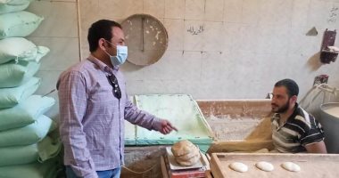 تموين المنوفية : تحرير 310 محضر تموينى خلال يومين من الحملات التموينية