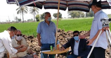 زراعة الشرقية: أساتذة بمركز بحوث الأرز بسخا ينفذون "مدرسة حقلية" لتوفير المياه