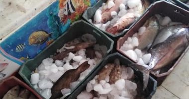 إعدام 284 كيلو أغذية وعصائر لتغيرها فى الخواص الطبيعية بالبحر الأحمر ..صور 